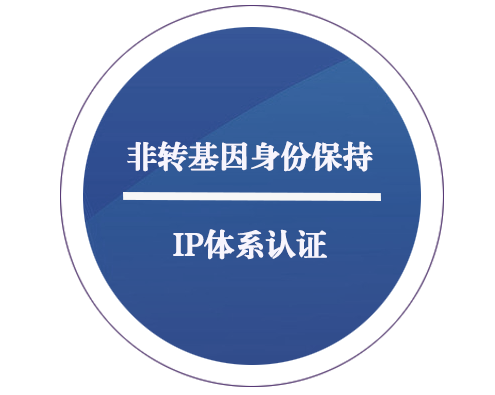 非轉(zhuǎn)基因身份保持 IP 體系認證